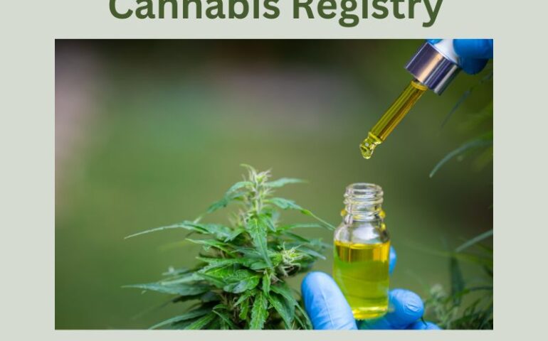 https://miamiposts.com/wp-content/uploads/job-manager-uploads/mad_perm_metadata/2024/05/Minnesota-Medical-Cannabis-Registry-770x480.jpg
