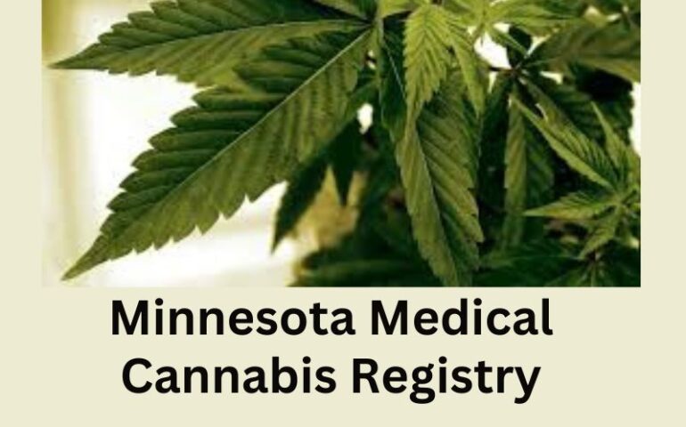 https://miamiposts.com/wp-content/uploads/job-manager-uploads/mad_perm_metadata/2024/06/Minnesota-Medical-Cannabis-Registry-1-770x480.jpg